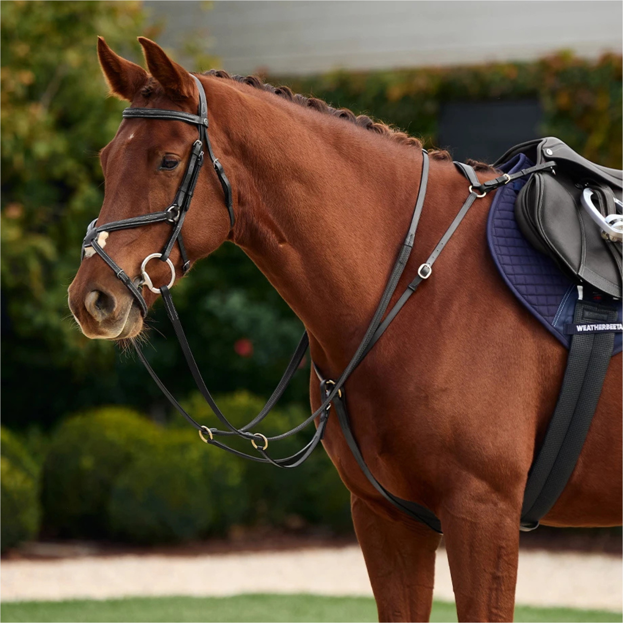 2026 Dublin 3-Point Breastplate 1031504 - Black